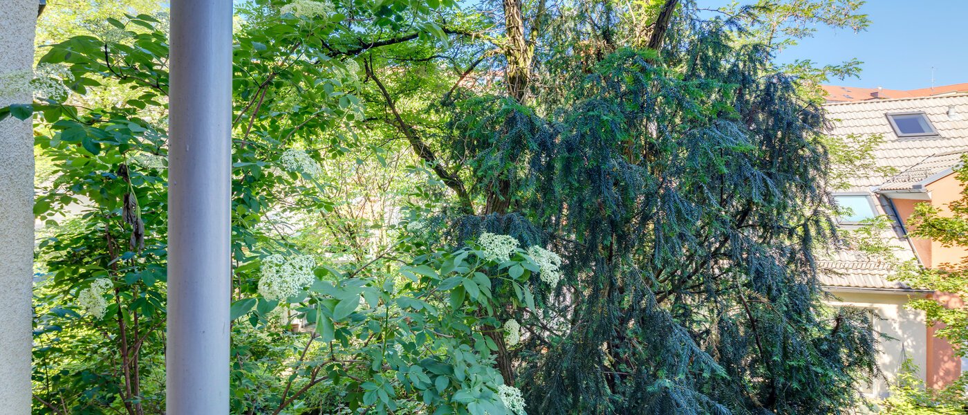 apartment München Au 02 view 11062