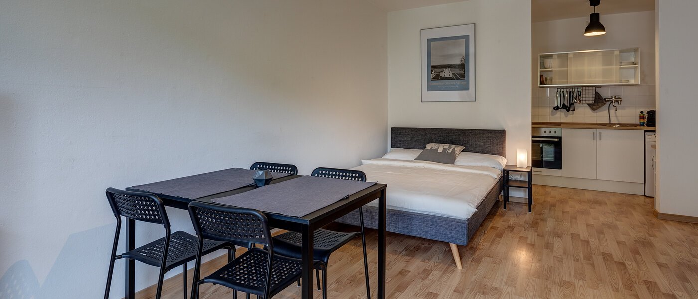 apartment München Maxvorstadt - Rund um den Josephplatz 04 living area 11083