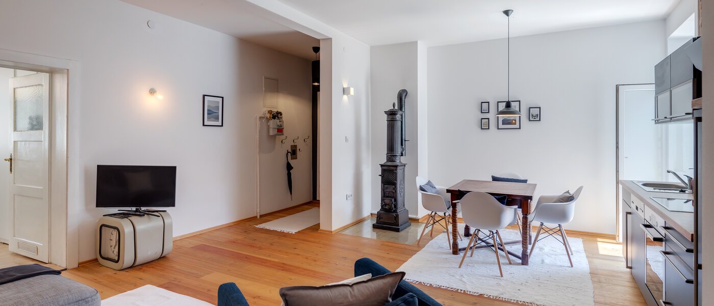 apartment München Haidhausen 02 living area 11109