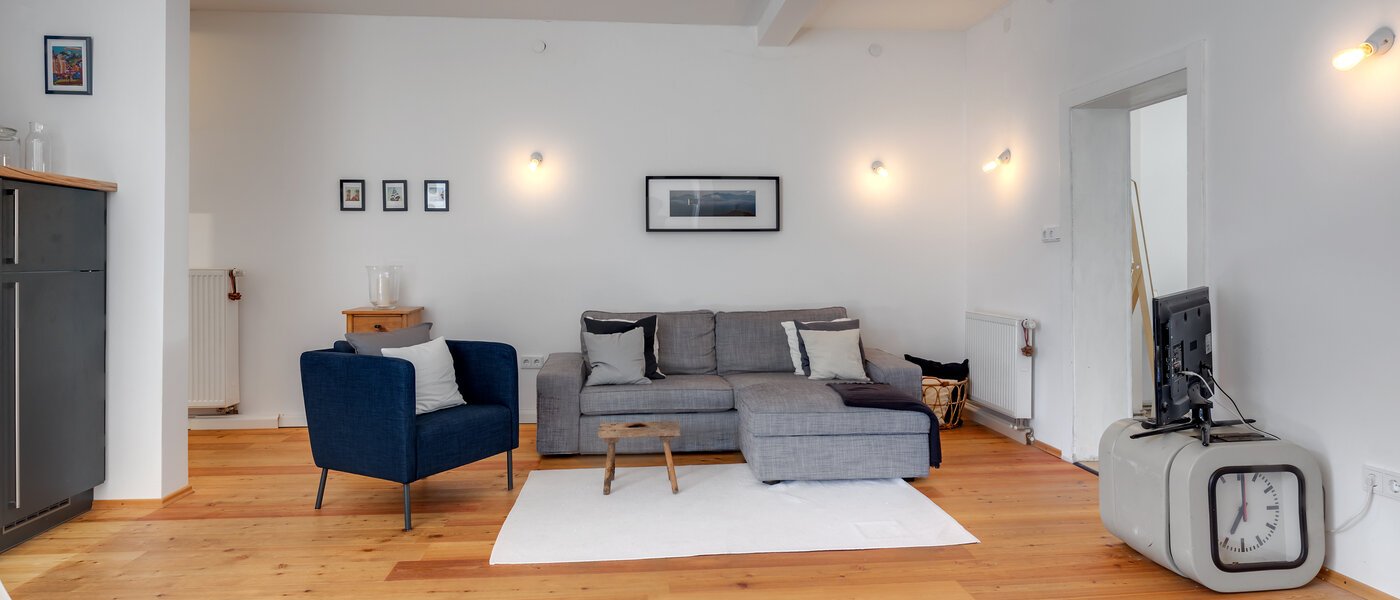 apartment München Haidhausen 04 living area 11109