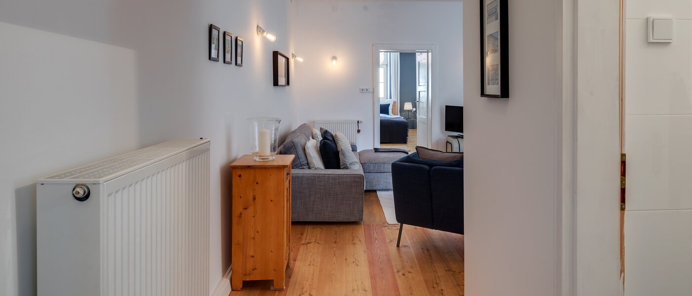 apartment München Haidhausen 05 living area 11109