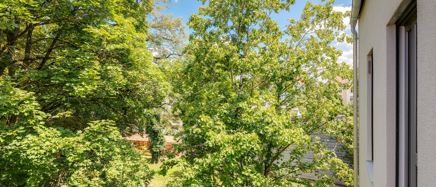 apartment München Pasing 03 view 11135