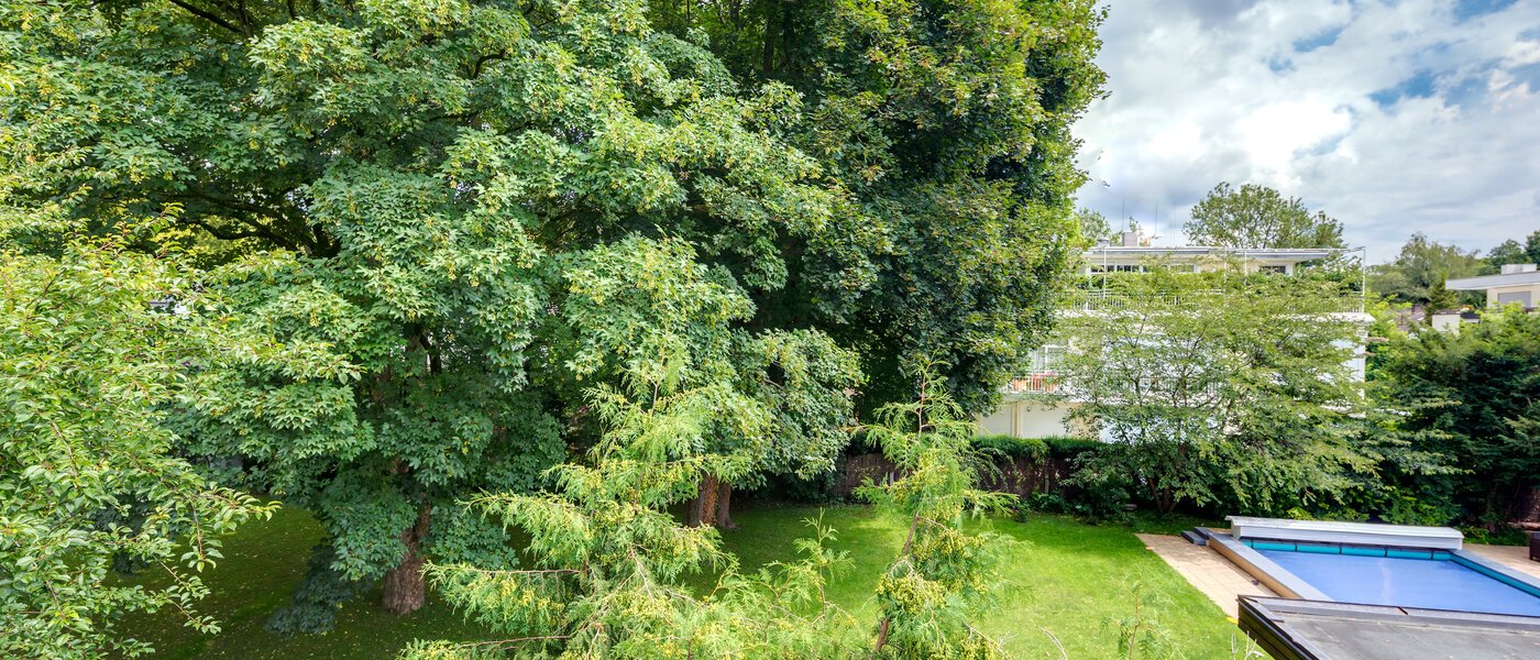 apartment München Herzogpark 01 view 11149