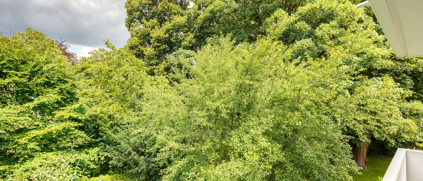 apartment München Herzogpark 04 view 11149