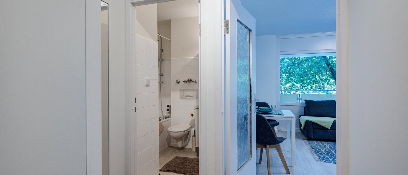 apartment München Schwabing-West (rund um den Bonner Platz) 01 hall 11195