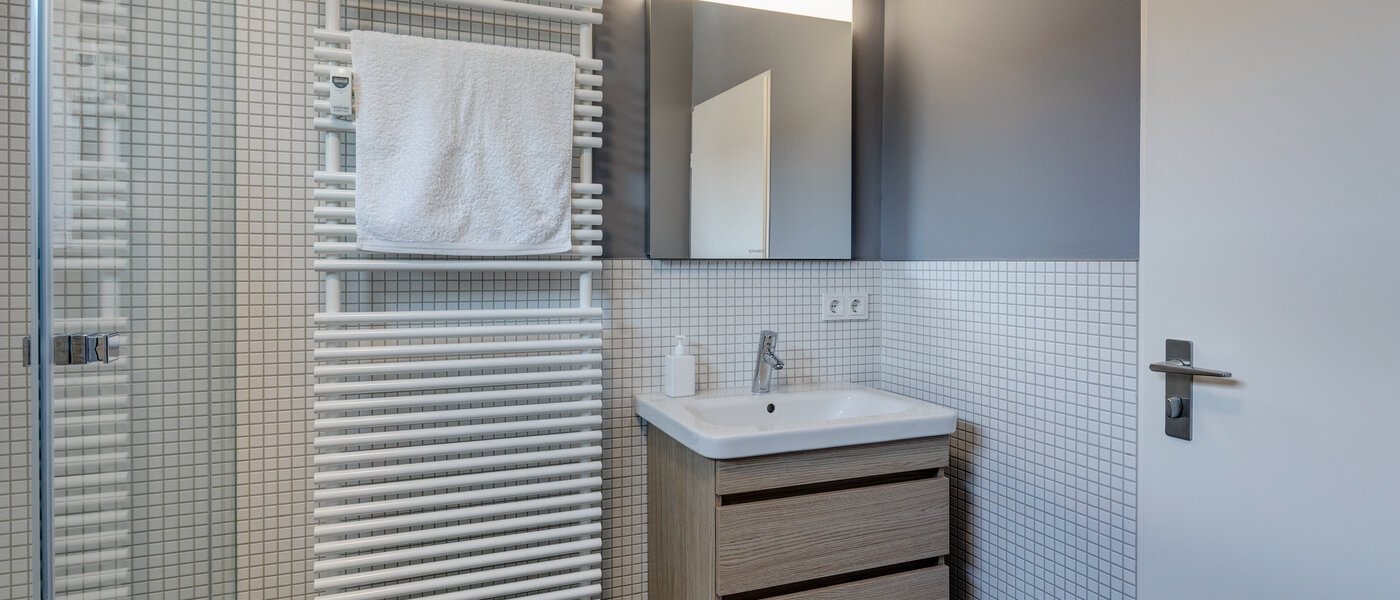 roof terrace apartment München Fasangarten 04 bathroom 11218