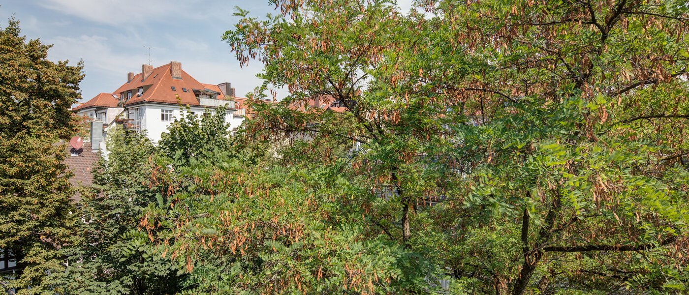 apartment München Schwabing 01 view 11220