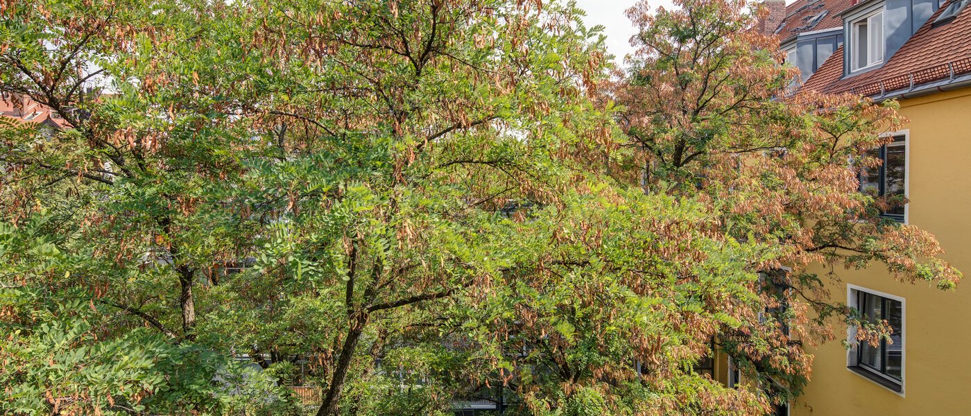 apartment München Schwabing 02 view 11220