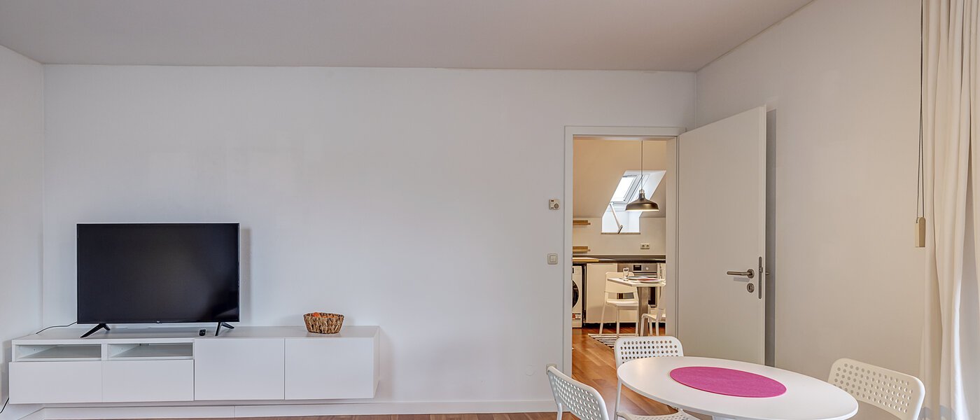 roof terrace apartment München Schwabing-Nord (zw. Leopoldstraße & Englischen Garten) 03 living area 11235