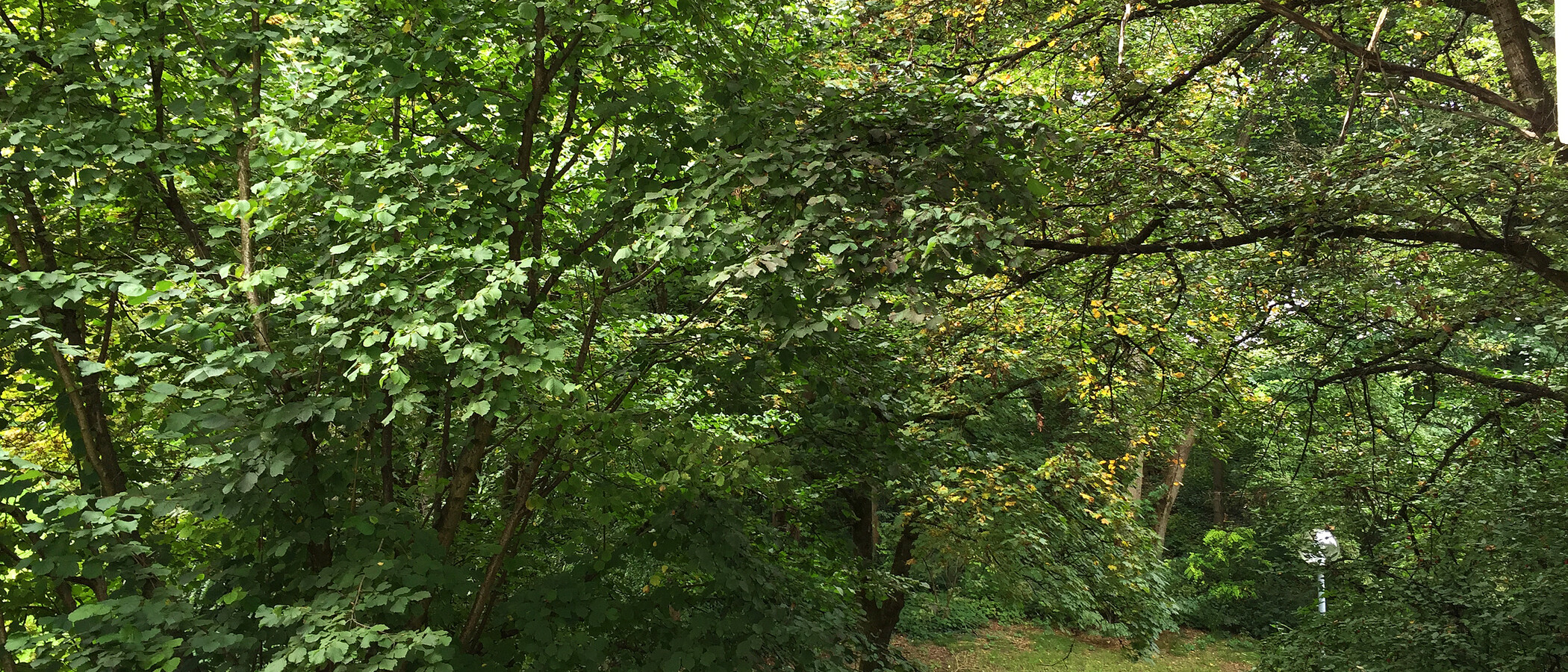 studio München Schwabing-West 01 view 11238