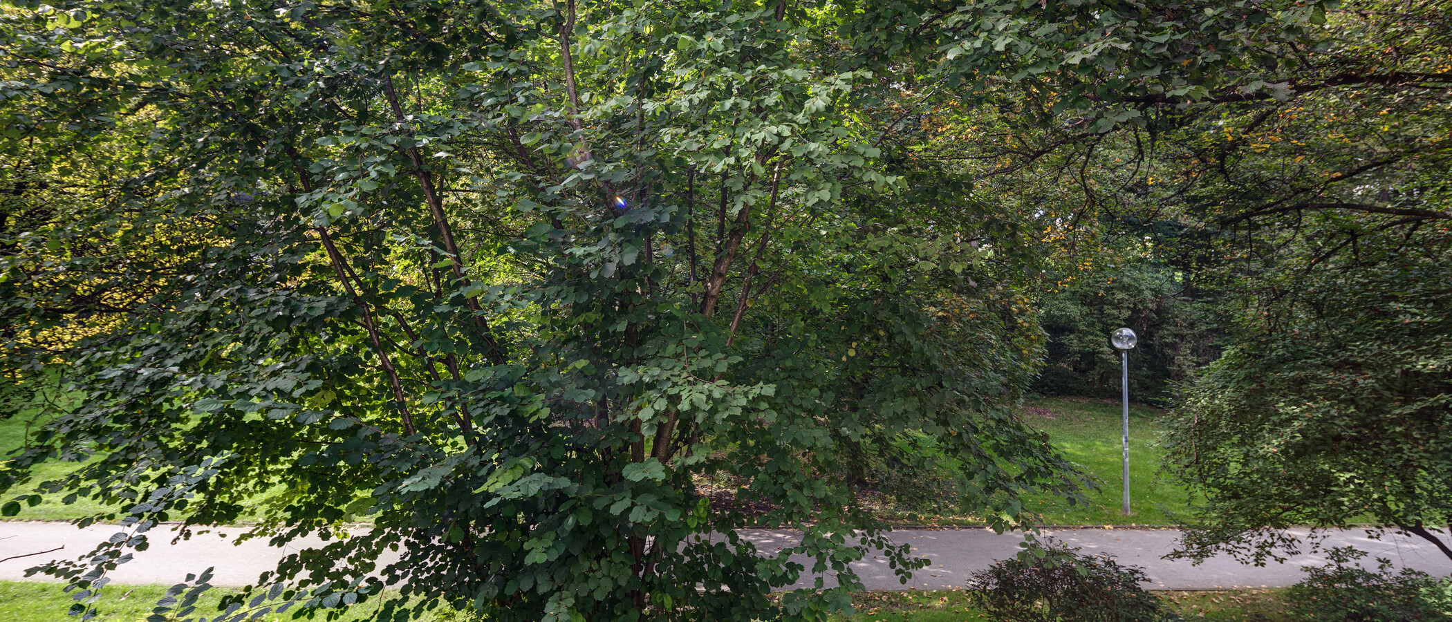 studio München Schwabing-West 03 view 11238