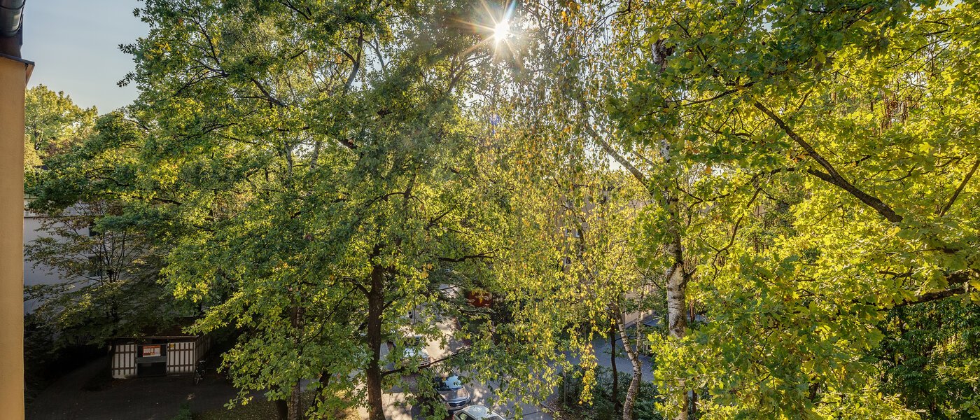 apartment München Parkstadt Bogenhausen 03 view 11256