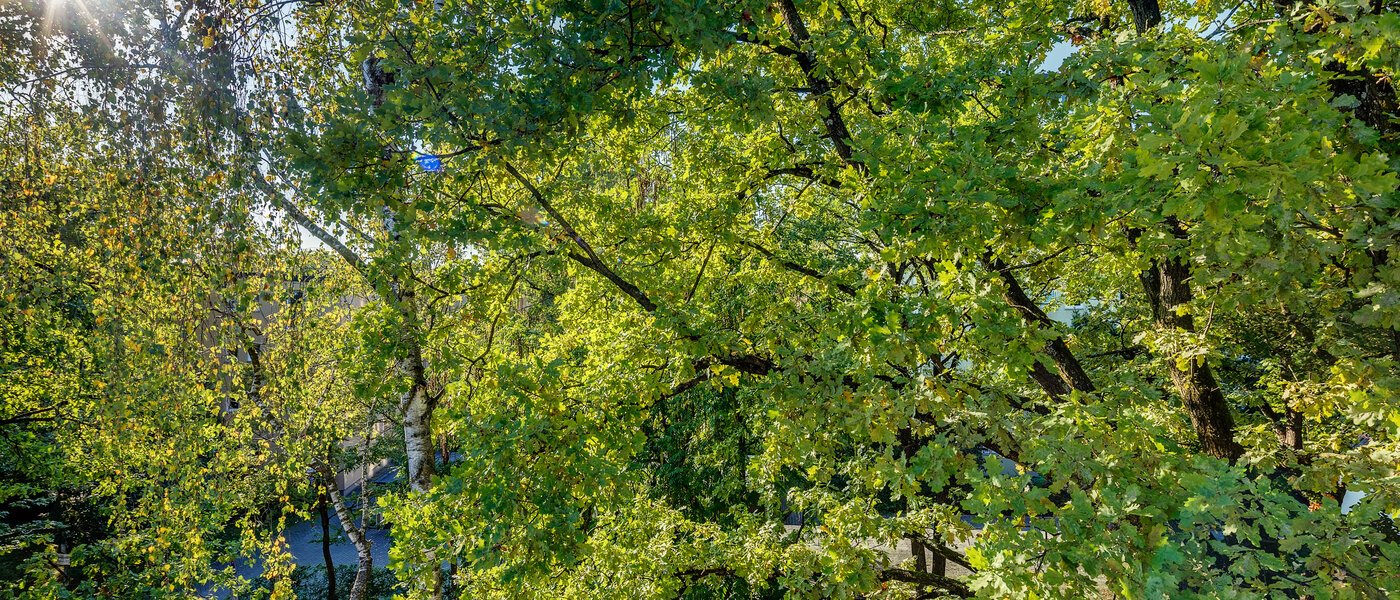 apartment München Parkstadt Bogenhausen 04 view 11256