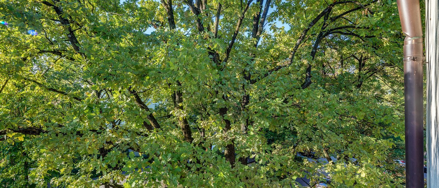 apartment München Parkstadt Bogenhausen 05 view 11256