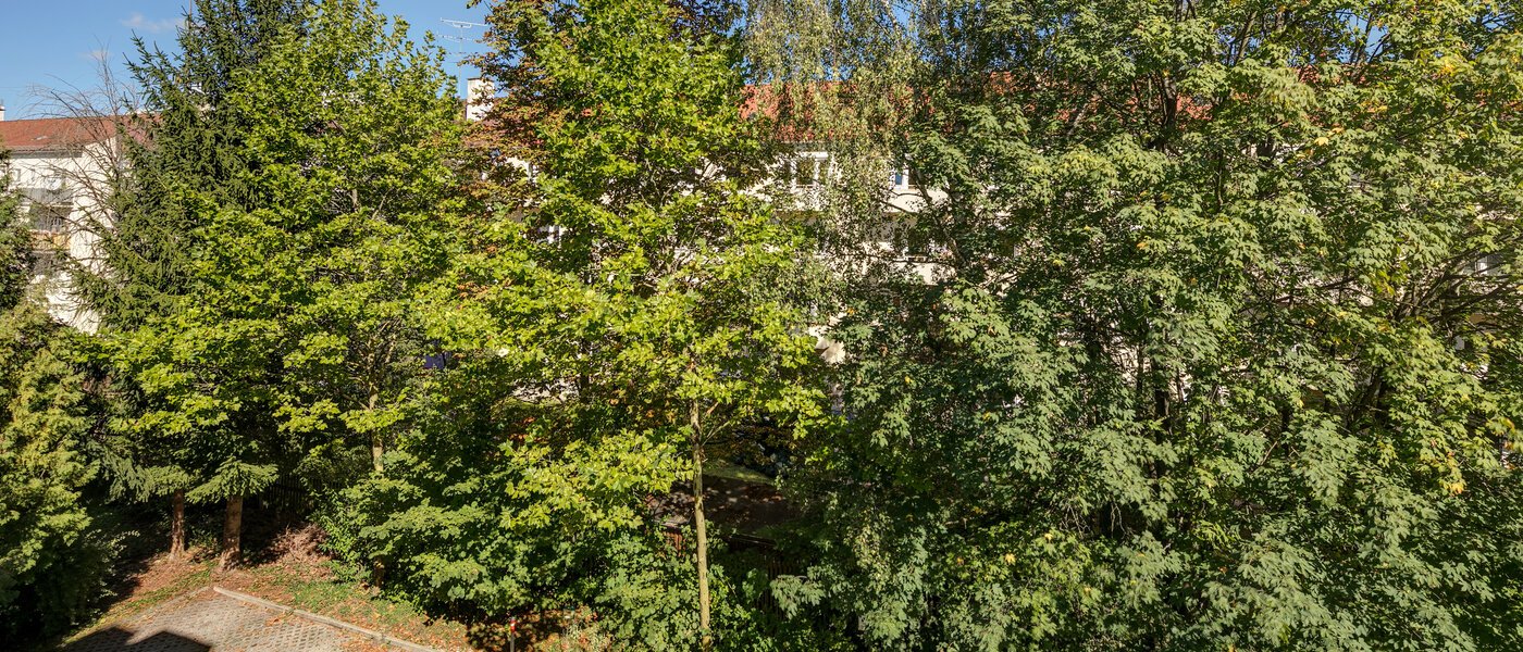 apartment München Obergiesing 01 view 11258