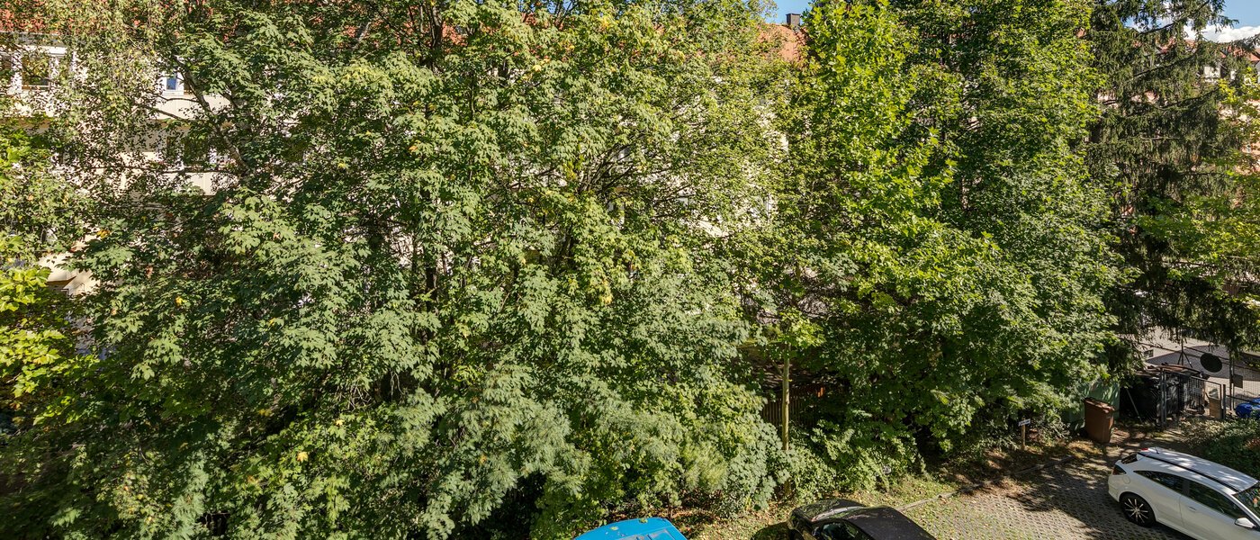 apartment München Obergiesing 02 view 11258