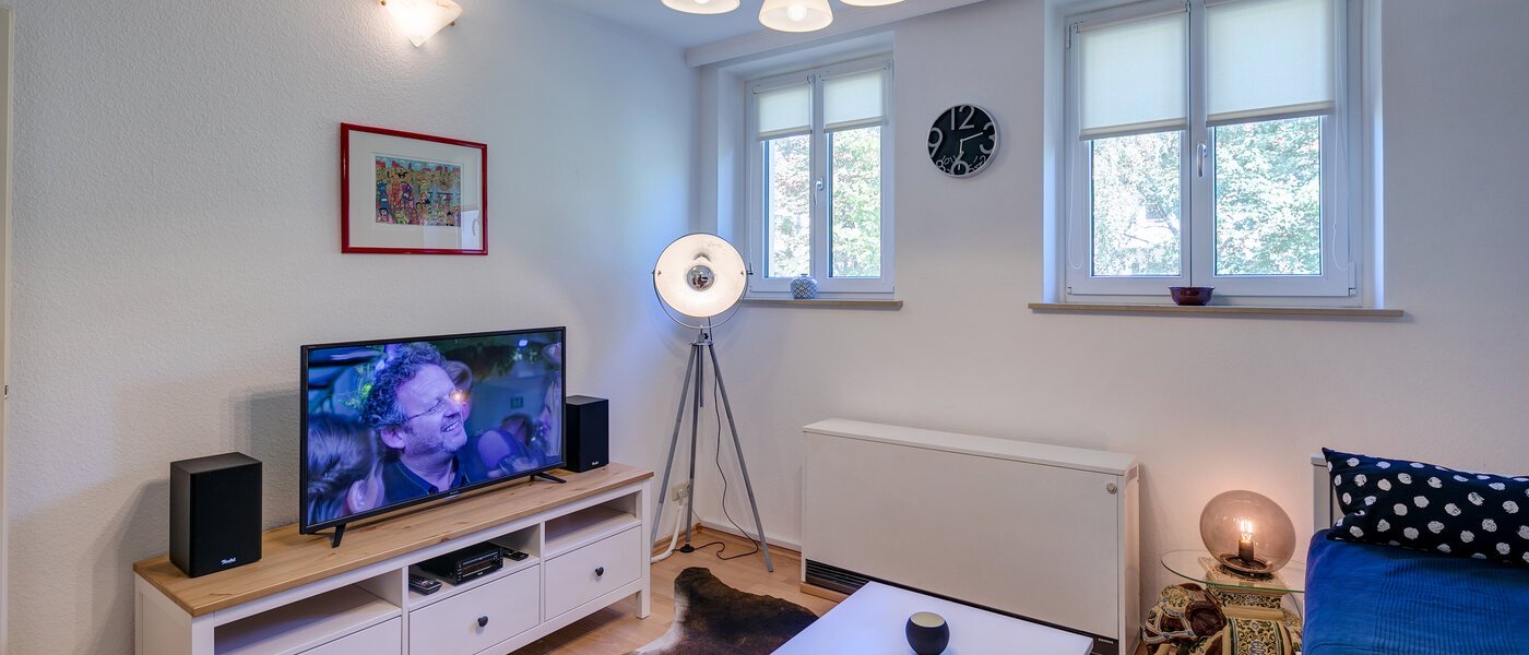 apartment München Obergiesing 04 living area 11258