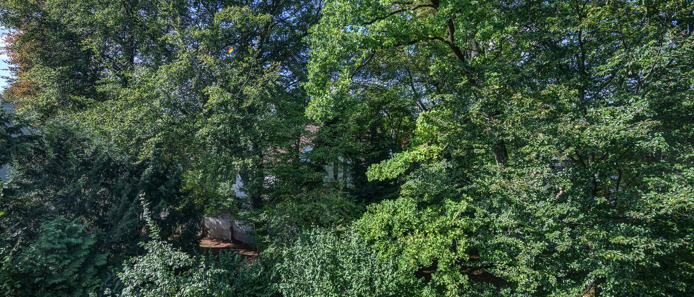 roof terrace apartment München Menterschwaige 03 view 11267