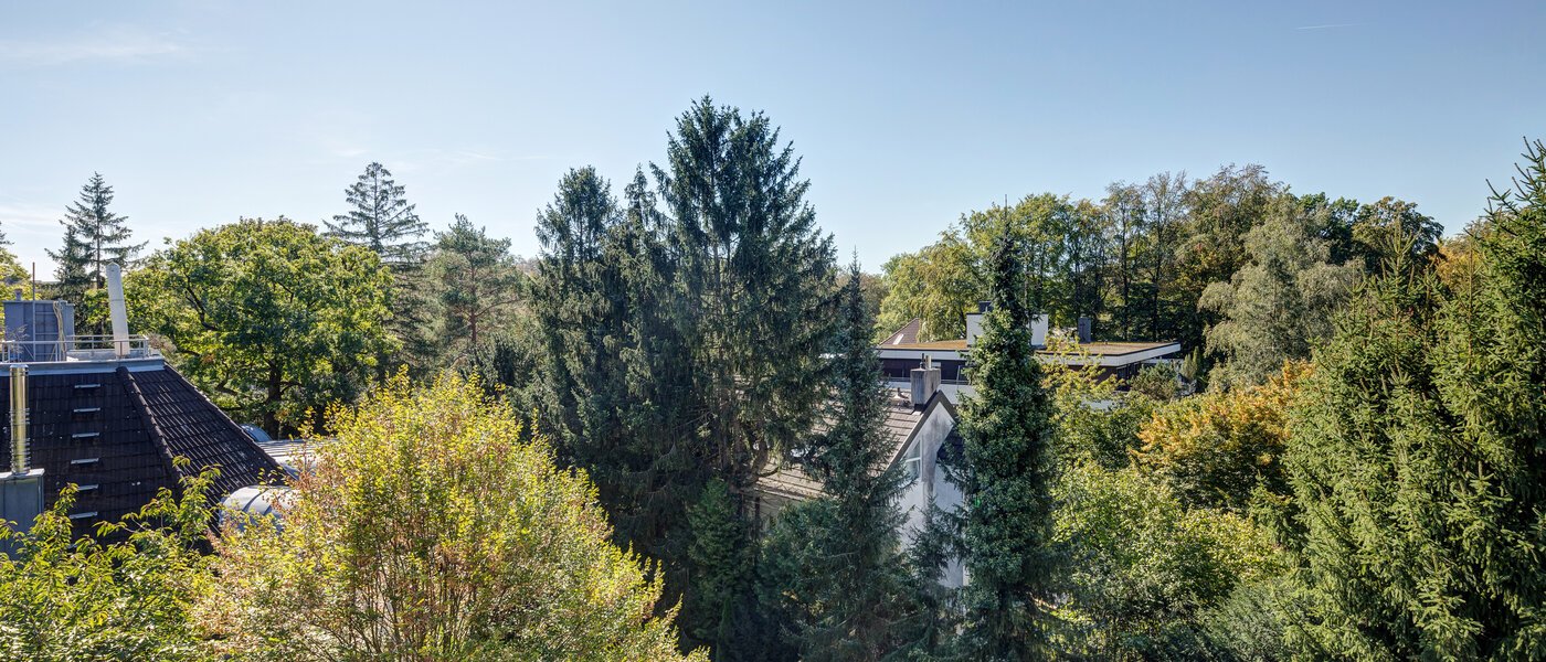 roof terrace apartment München Menterschwaige 04 view 11267