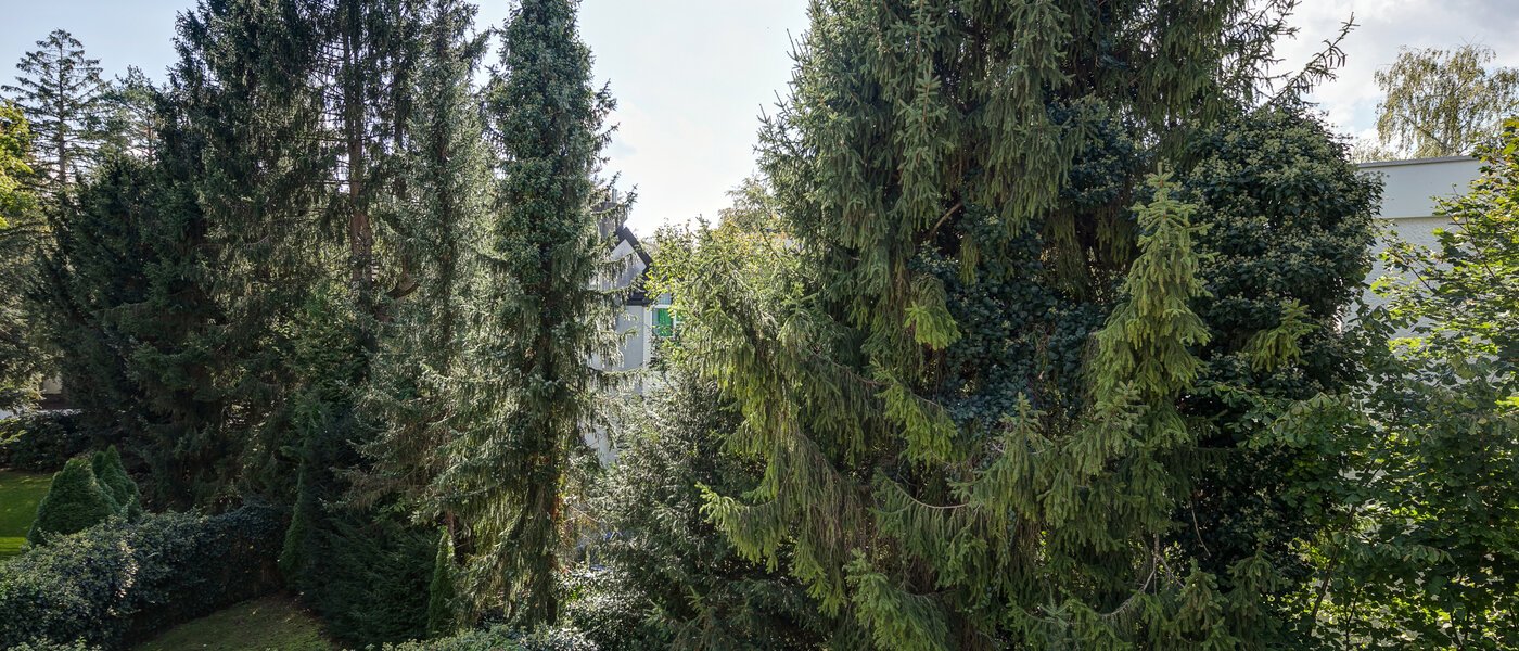 roof terrace apartment München Menterschwaige 05 view 11267