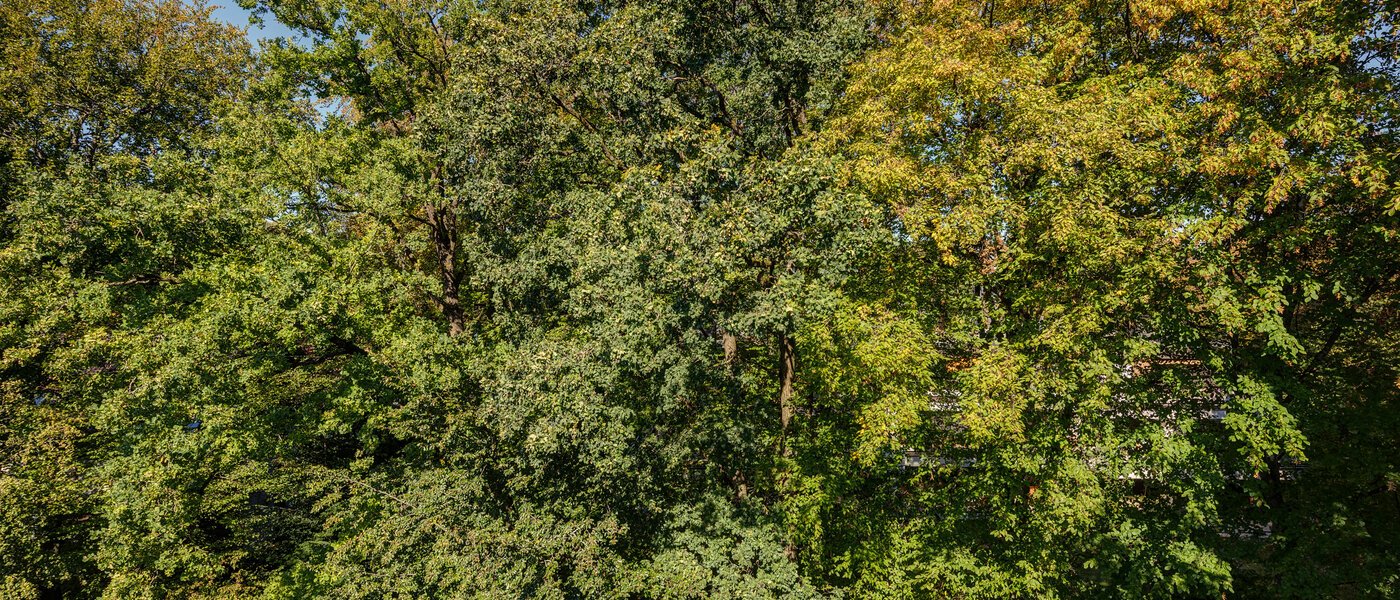 roof terrace apartment München Menterschwaige 07 view 11267