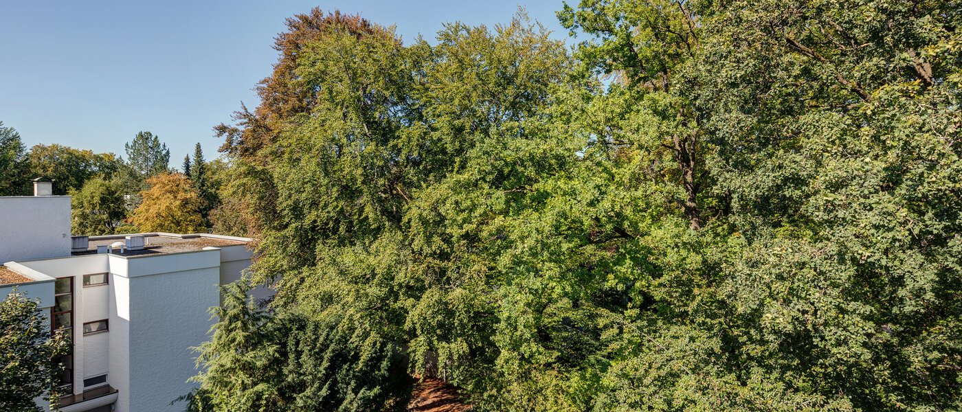 roof terrace apartment München Menterschwaige 08 view 11267