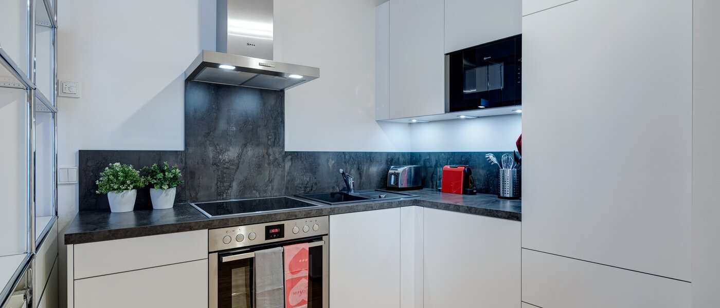 apartment München Bogenhausen 01 kitchen 11300