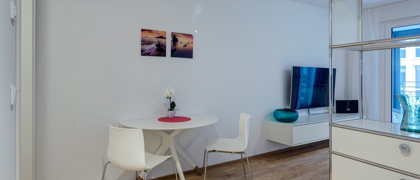 apartment München Bogenhausen 04 living area 11300