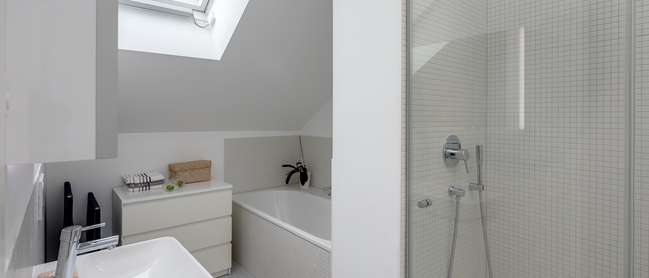 roof terrace apartment München Schwabing-West (rund um den Bonner Platz) 01 bathroom 11304