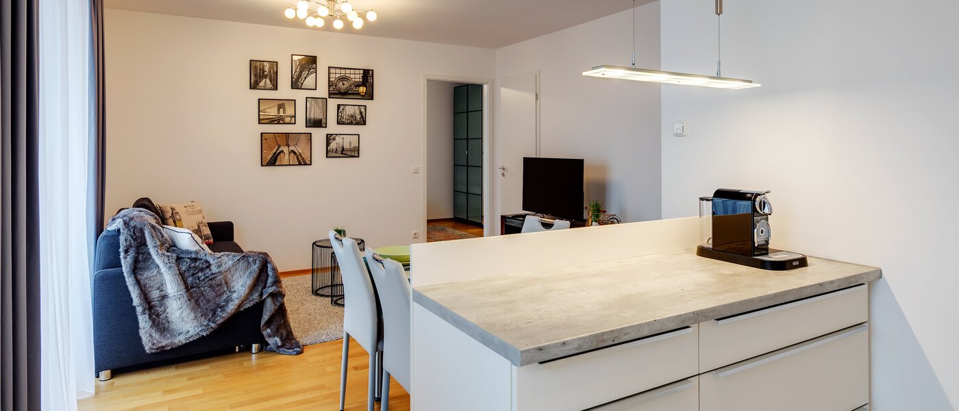 apartment München Ludwigsvorstadt 03 kitchen 11329