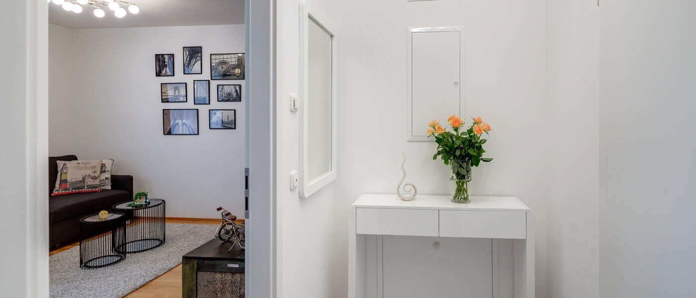 apartment München Ludwigsvorstadt 02 hall 11329