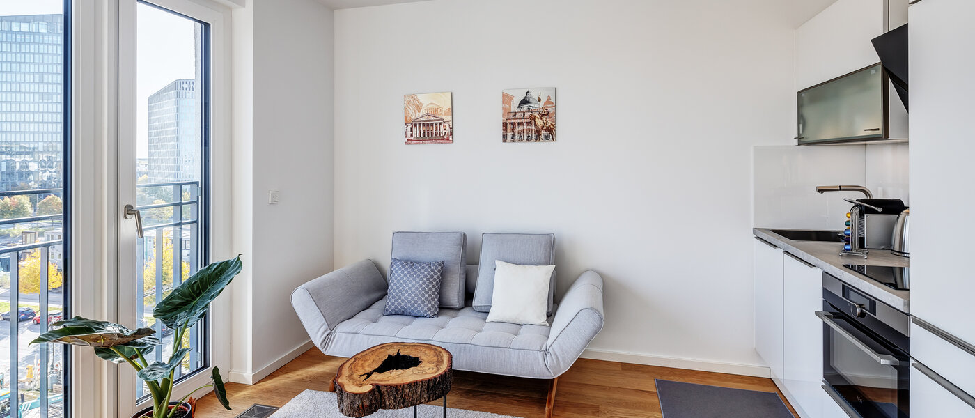 apartment München Bogenhausen 02 living area 11358