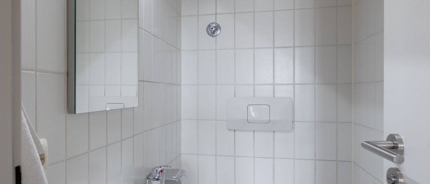 attic apartment München Schwanthalerhöhe 01 separate toilet 11426