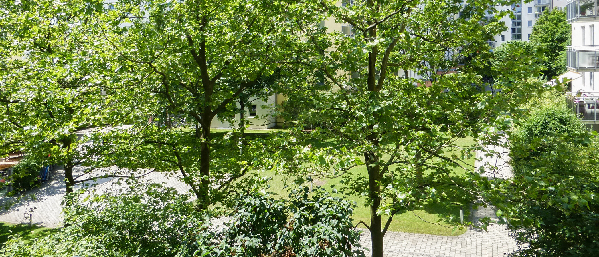 apartment München Maxvorstadt 01 view 11428