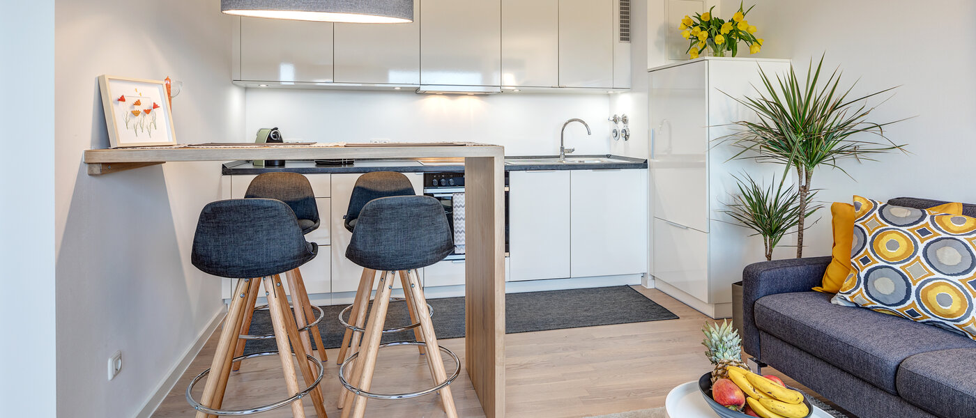 apartment München Pasing 05 living area 11456