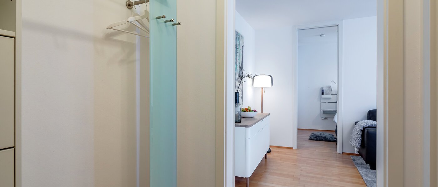 apartment München Maxvorstadt - Westen 01 hall 11480