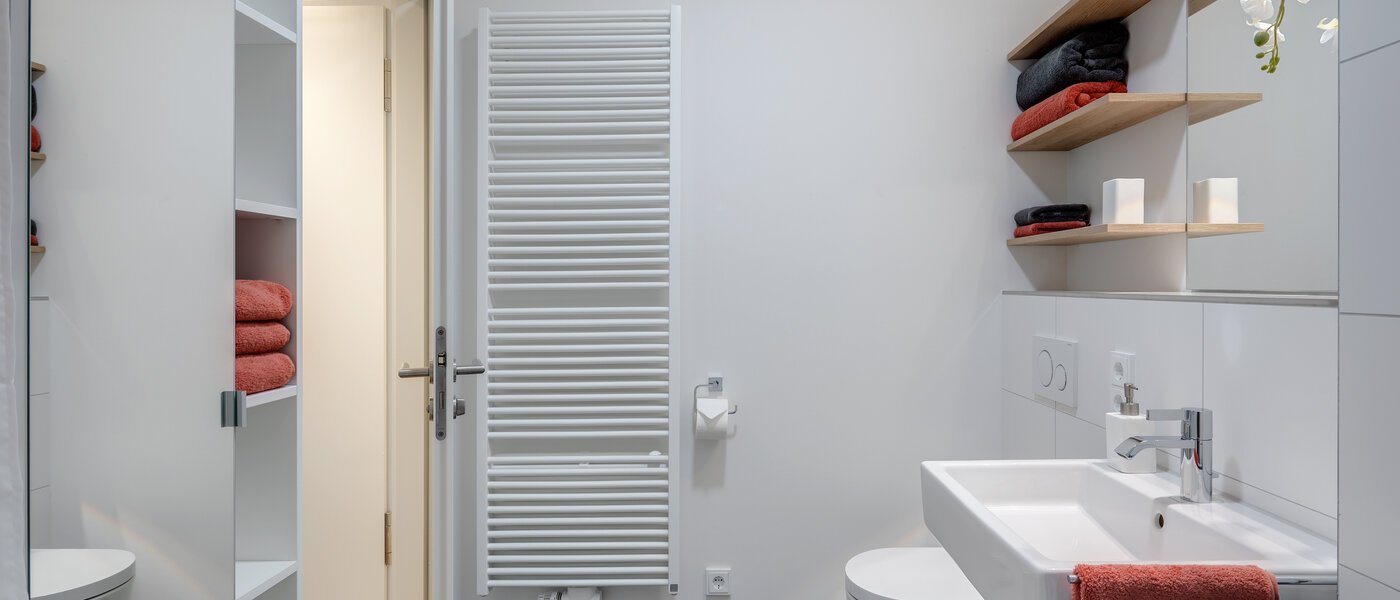 apartment München Bogenhausen 03 bathroom 11481