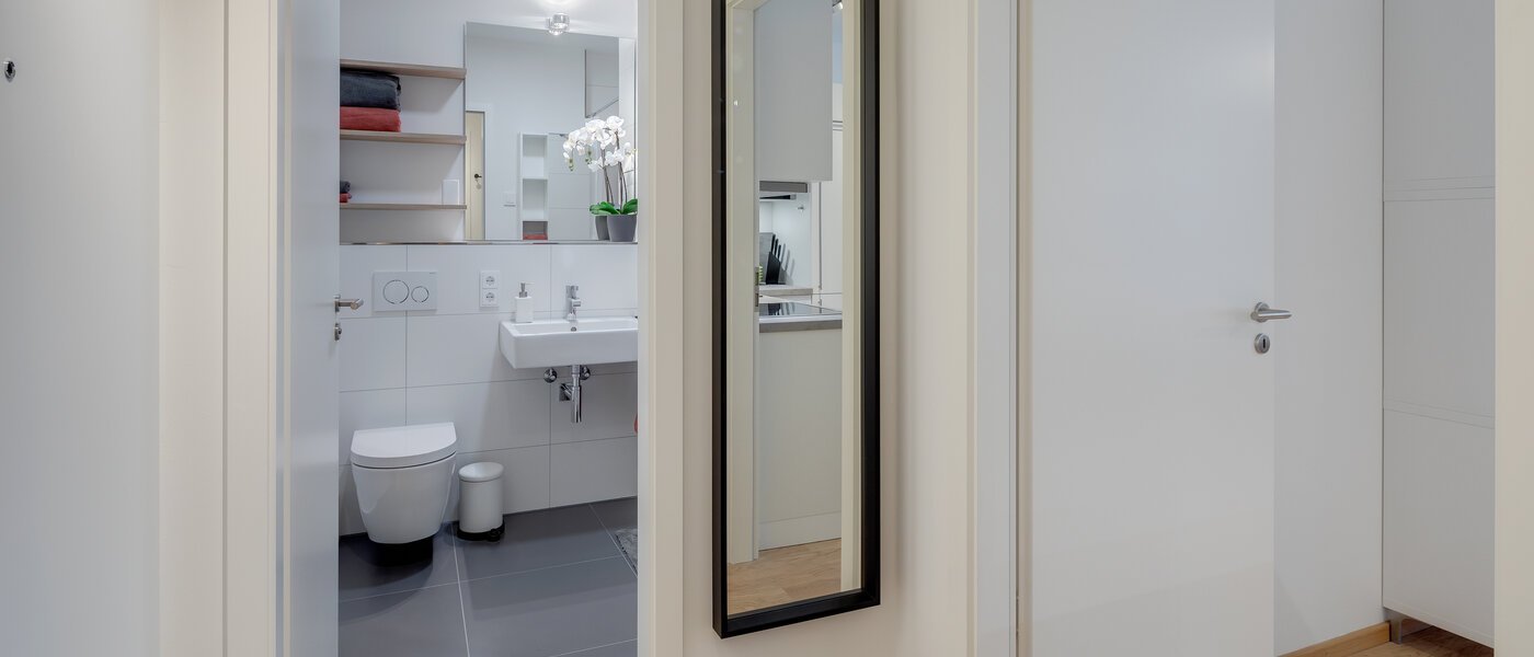 apartment München Bogenhausen 02 hall 11481