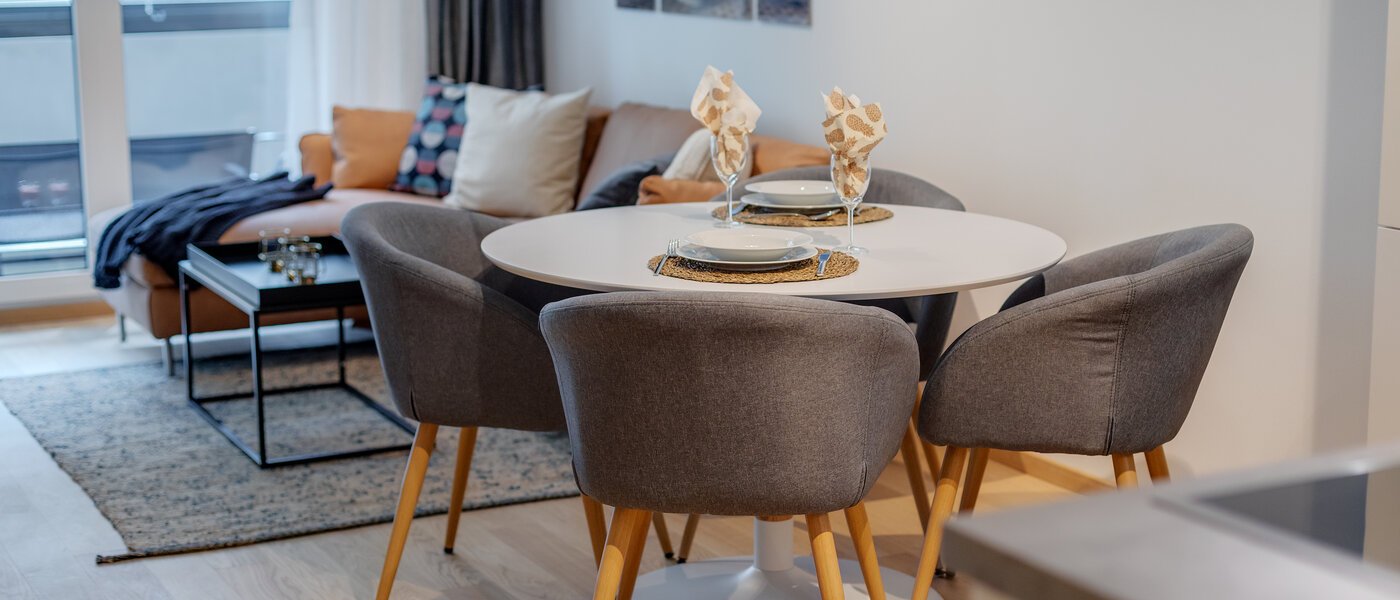 apartment München Bogenhausen 05 living area 11481