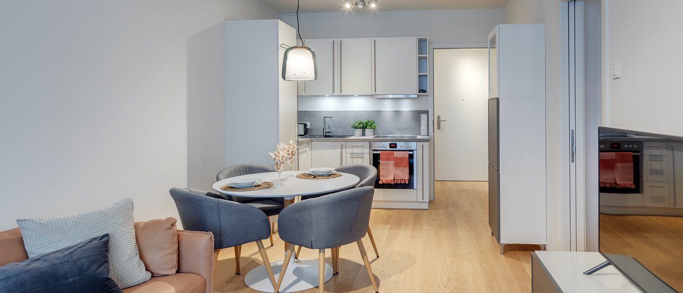 apartment München Bogenhausen 06 living area 11481