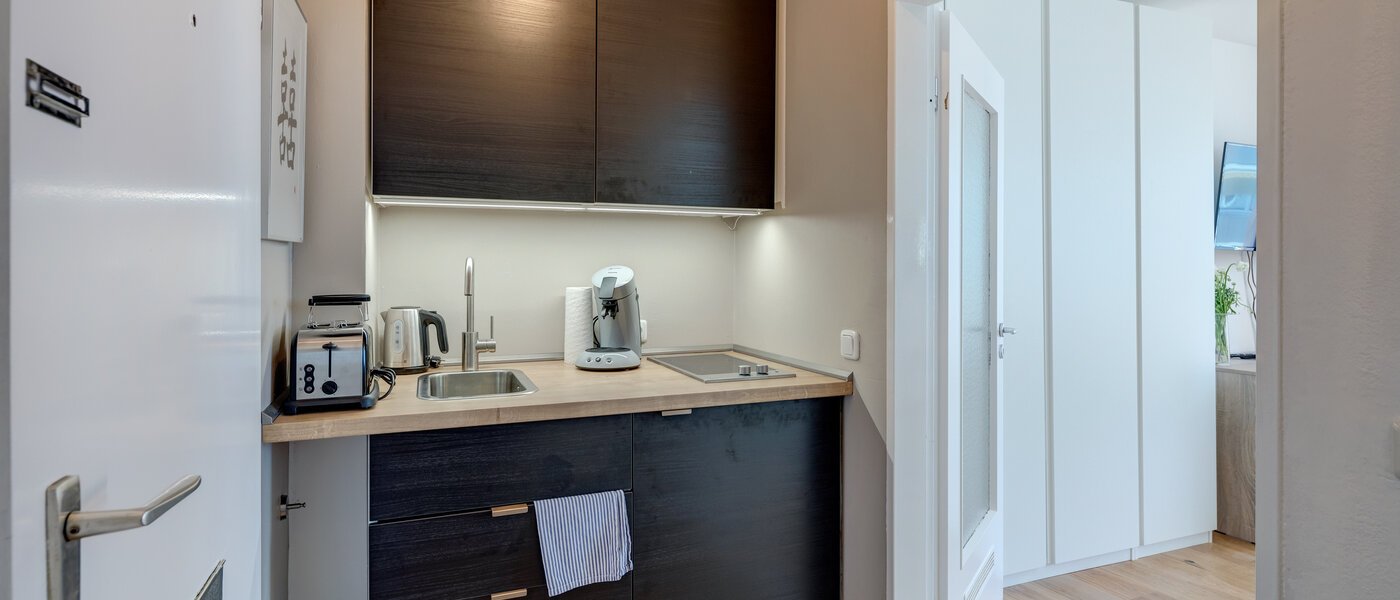 apartment München Au 02 kitchen 11482