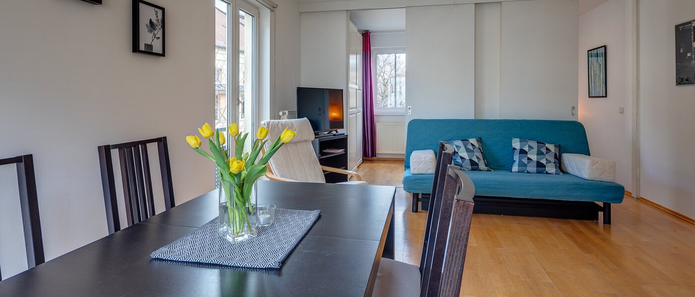 apartment München Ludwigsvorstadt 01 living area 11492