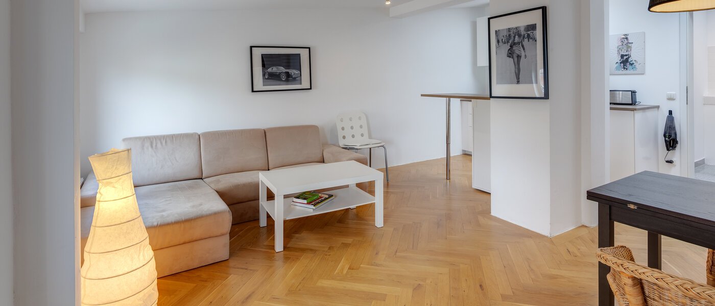 attic apartment München Schwanthalerhöhe 02 living area 11507