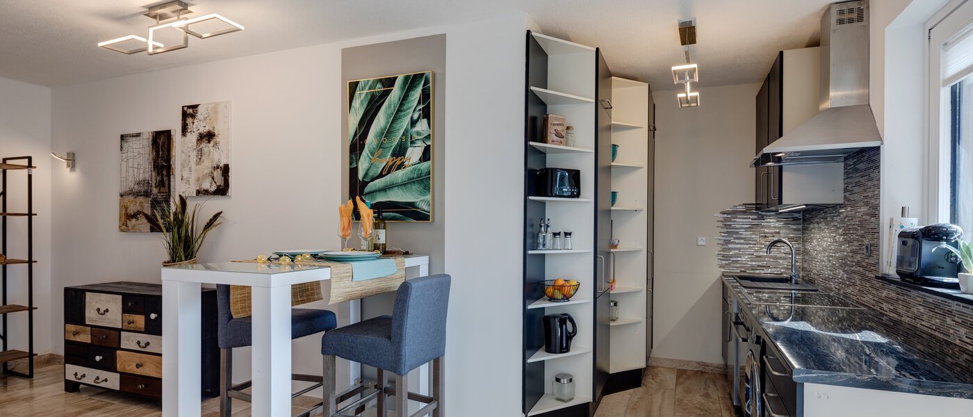 apartment München Schwabing (rechts der Leopoldstraße) 02 kitchen 11509