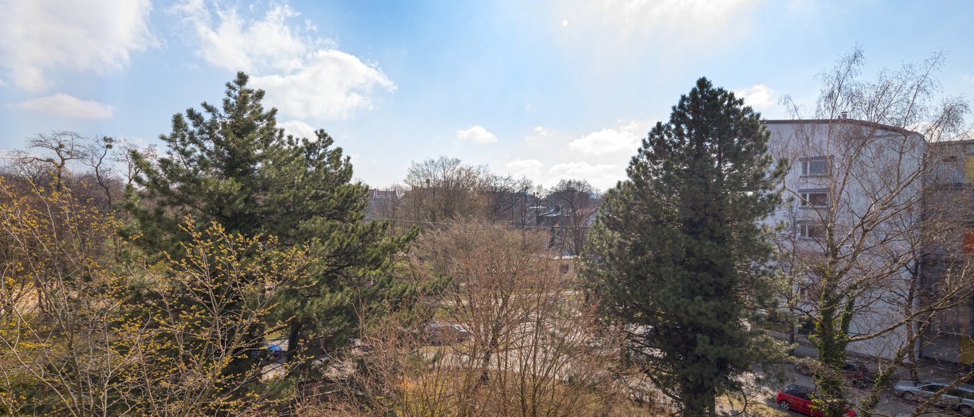 apartment München Schwabing (rechts der Leopoldstraße) 02 view 11509