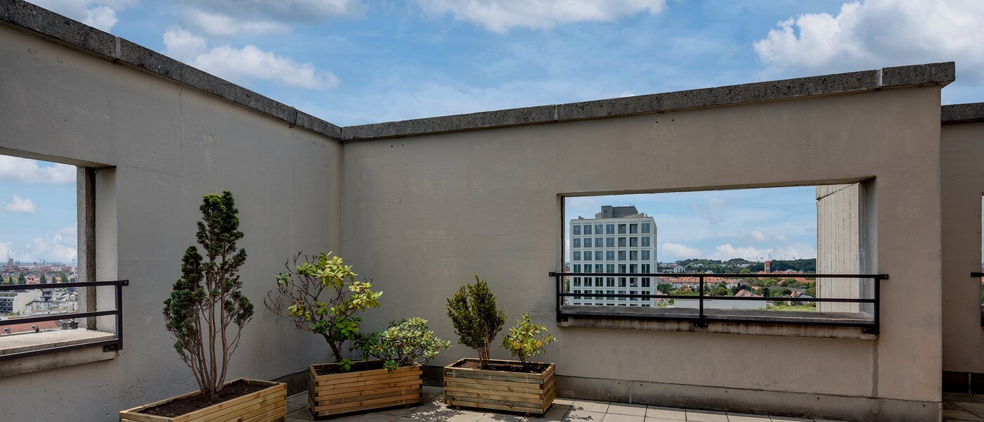 apartment München Schwabing (rechts der Leopoldstraße) 03 communal terrace 11509