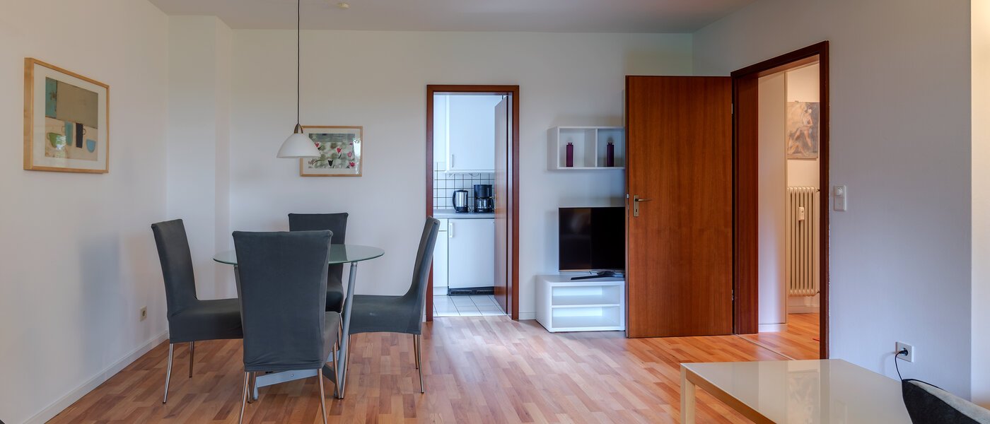 apartment München Harlaching 04 living room 1155