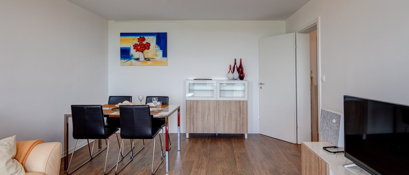 apartment Oberschleißheim 04 living room 11550