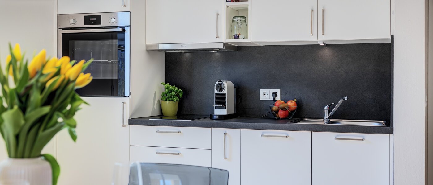 apartment München Schwabing-Nord (zw. Leopoldstraße & Englischen Garten) 01 kitchen 11551