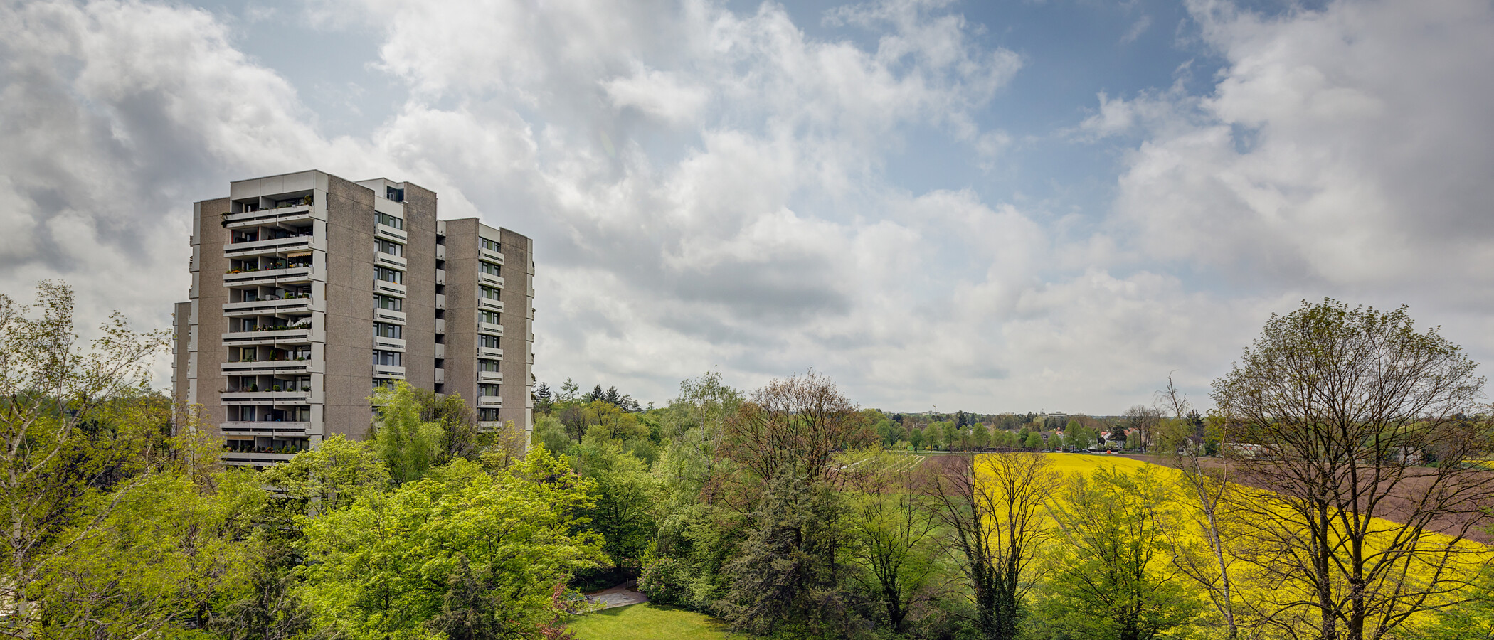 apartment München Parkstadt Solln 02 view 11555